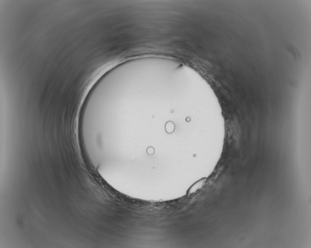 X0000112850148200910021258