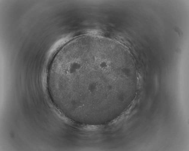 X0000112850149200910021258