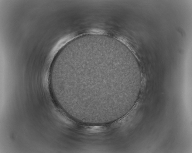 X0000112850151200910021258