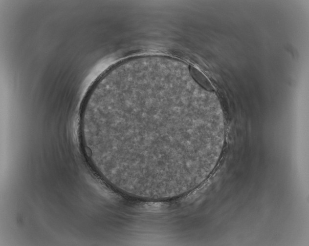 X0000112850152200910021258