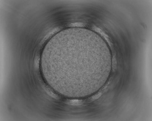 X0000112850153200910021258