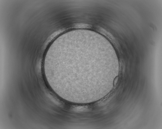 X0000112850155200910021258