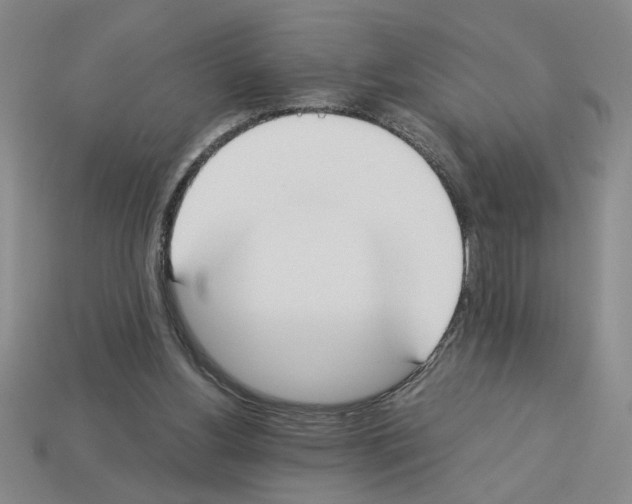 X0000112850156200910021258