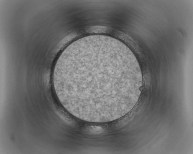 X0000112850159200910021258