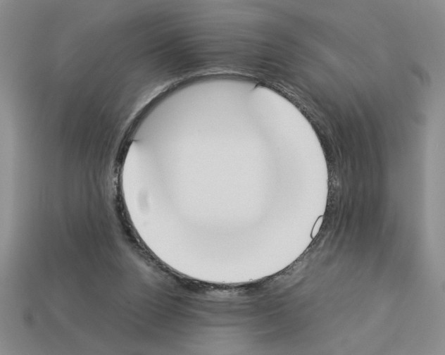 X0000112850160200910021258