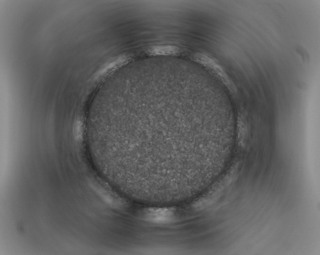 X0000112850161200910021258