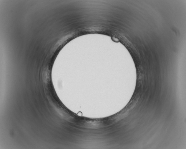 X0000112850164200910021258