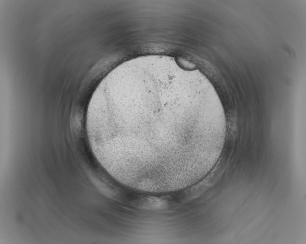 X0000112850166200910021258