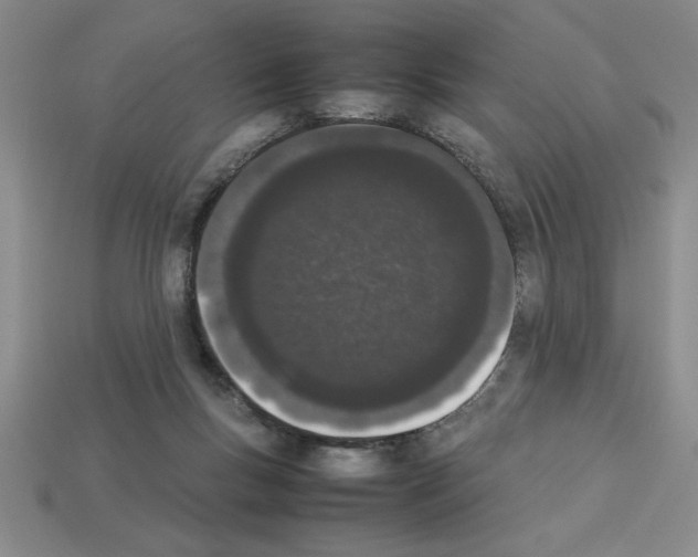 X0000112850167200910021258