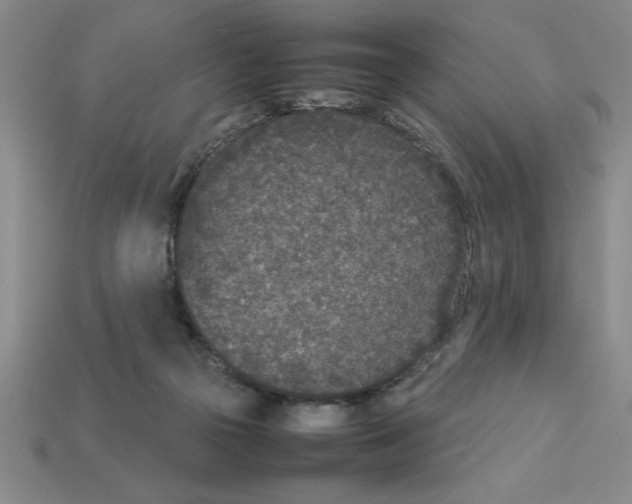 X0000112850169200910021259