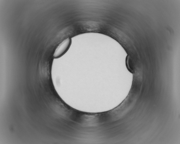 X0000112850170200910021259