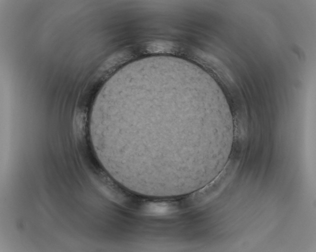 X0000112850171200910021259