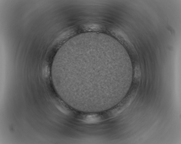 X0000112850173200910021259