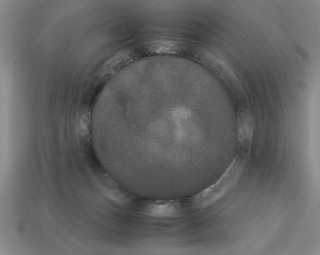 X0000112850175200910021259