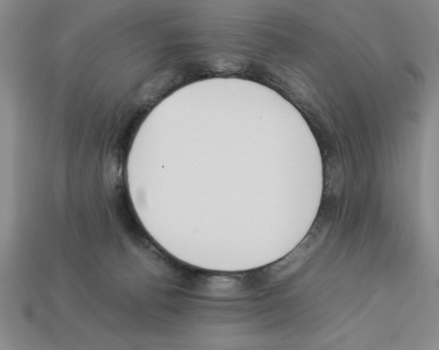 X0000112850176200910021259