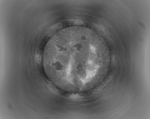 X0000112850177200910021259