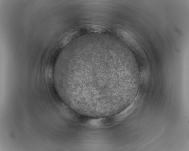 X0000112850178200910021259