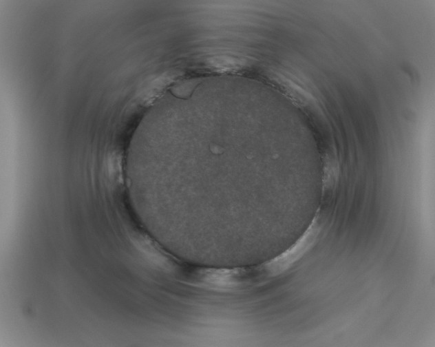 X0000112850182200910021259