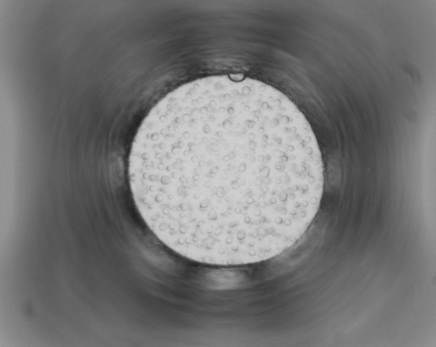 X0000112850183200910021259