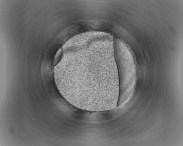 X0000112850186200910021259