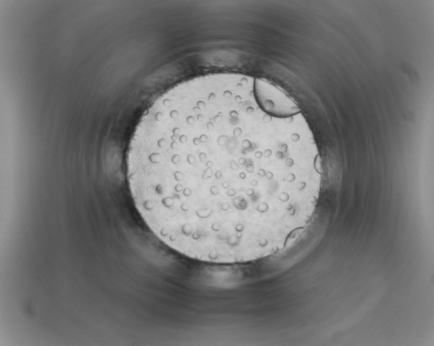 X0000112850187200910021259