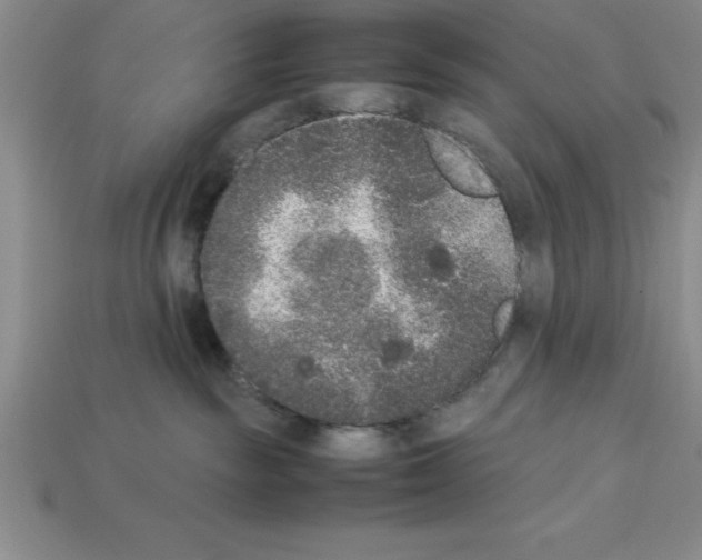 X0000112850189200910021259