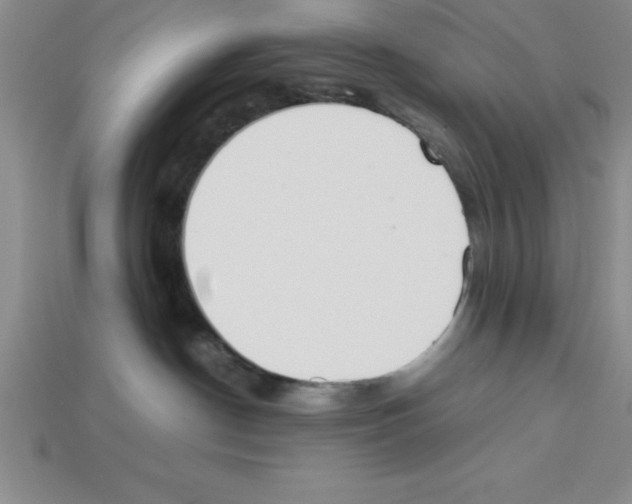 X0000112850190200910021259