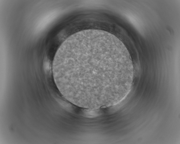 X0000112850191200910021259