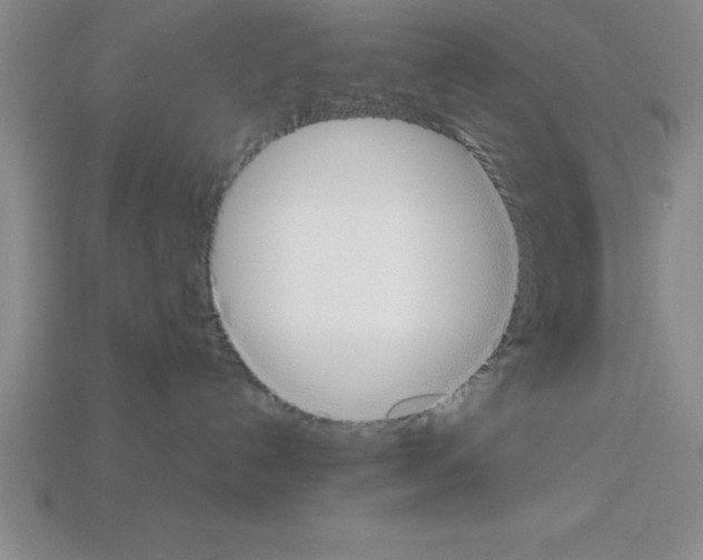 X0000112850192200910021259