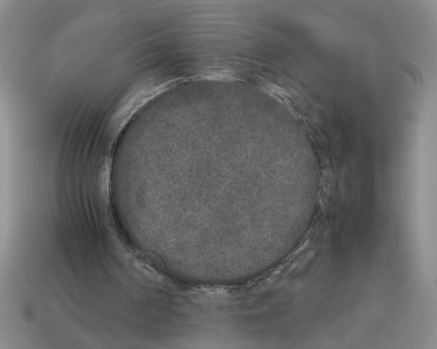 X0000112850194200910021258