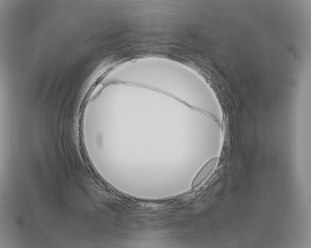 X0000112850195200910021258