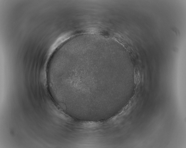 X0000112850198200910021258