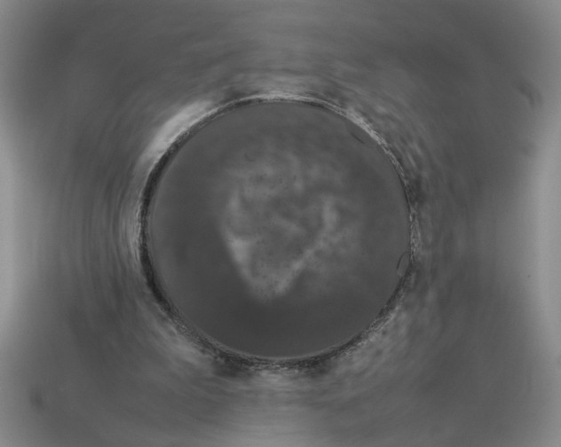 X0000112850199200910021258