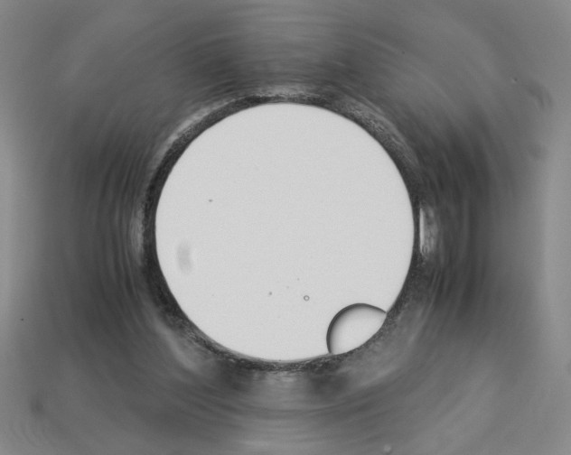 X0000112850204200910021258