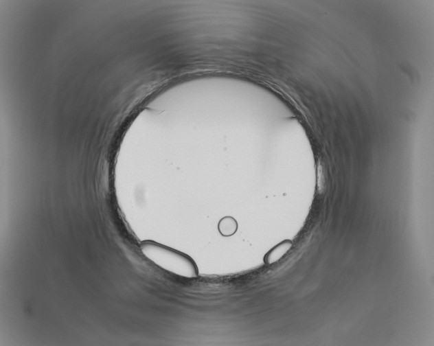 X0000112850205200910021258