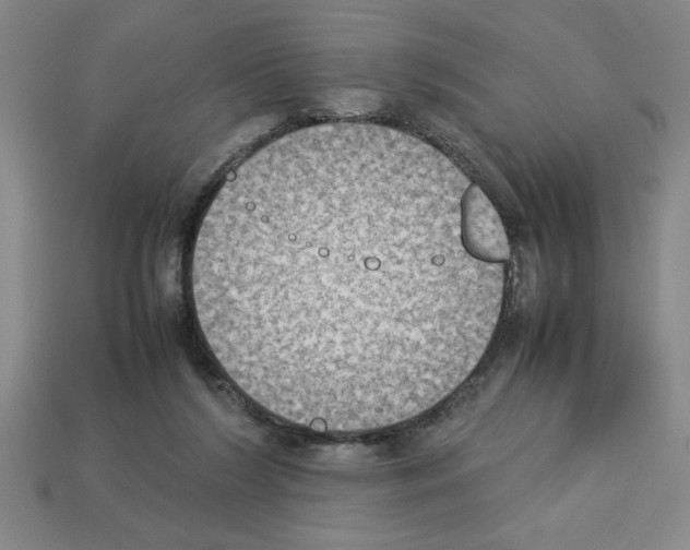 X0000112850212200910021258