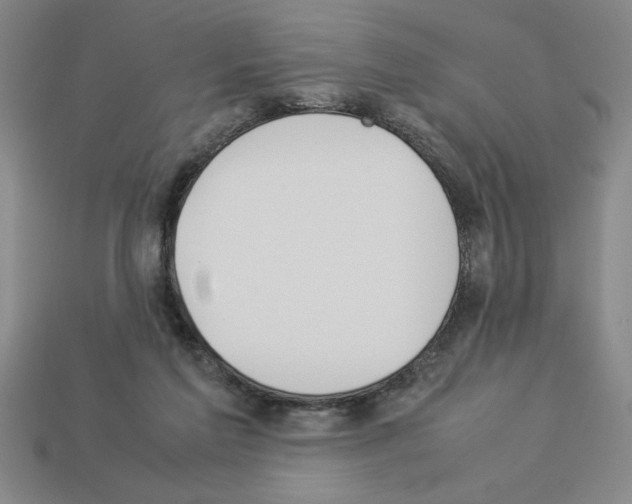 X0000112850213200910021258