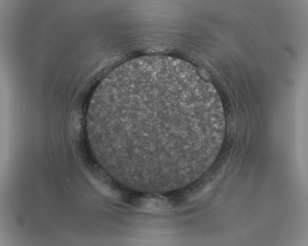 X0000112850215200910021258