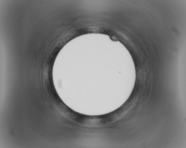 X0000112850217200910021258