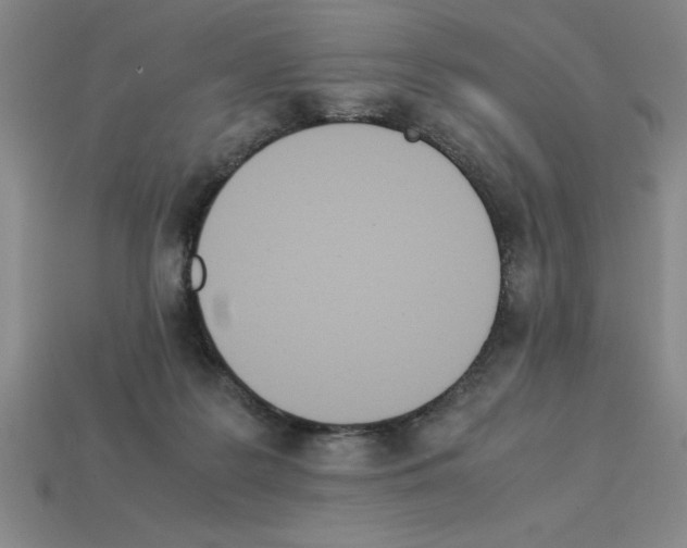 X0000112850219200910021258