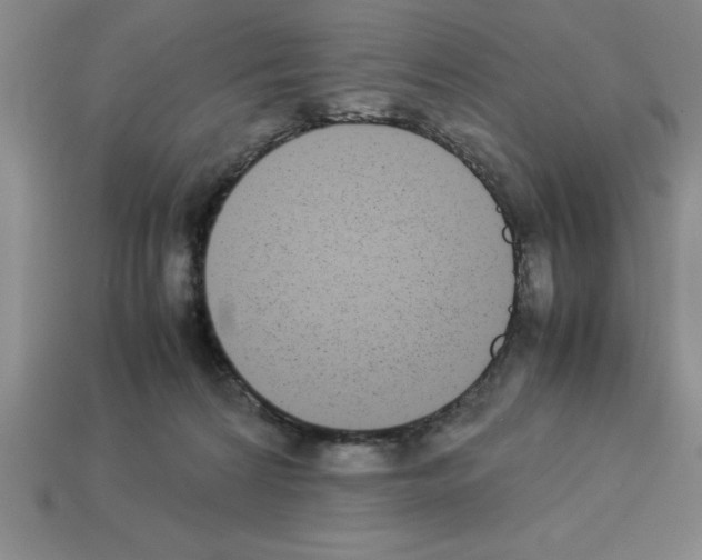 X0000112850224200910021258