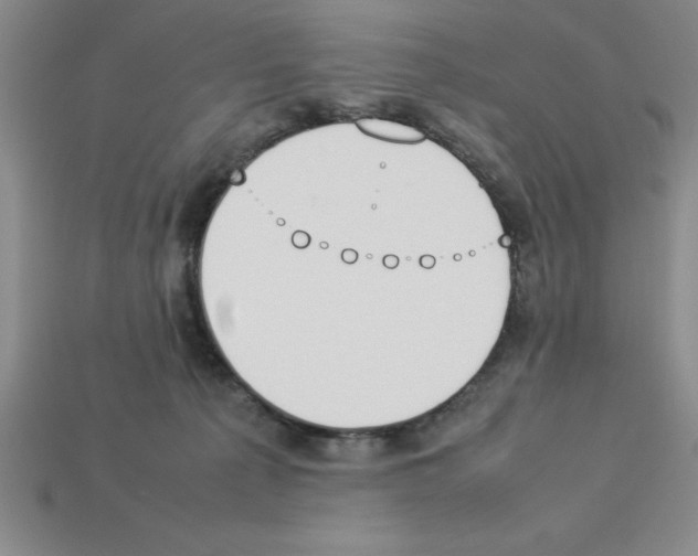 X0000112850225200910021258