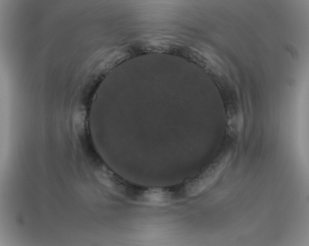 X0000112850231200910021258