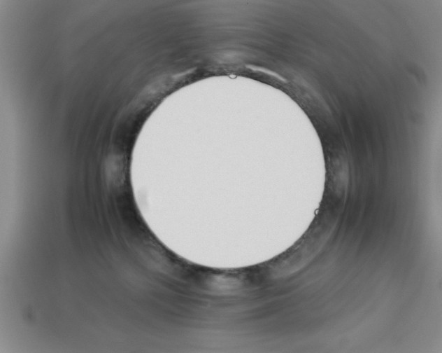 X0000112850232200910021258