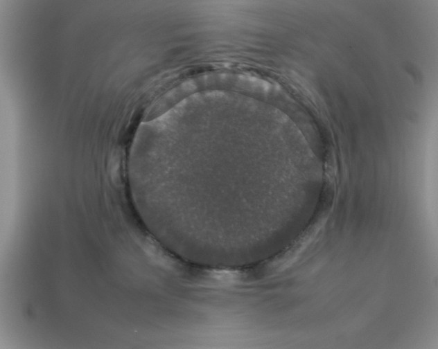 X0000112850233200910021257