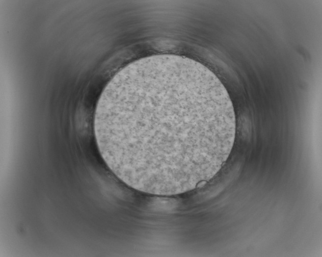 X0000112850234200910021257