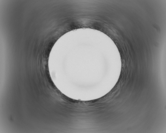 X0000112850235200910021257