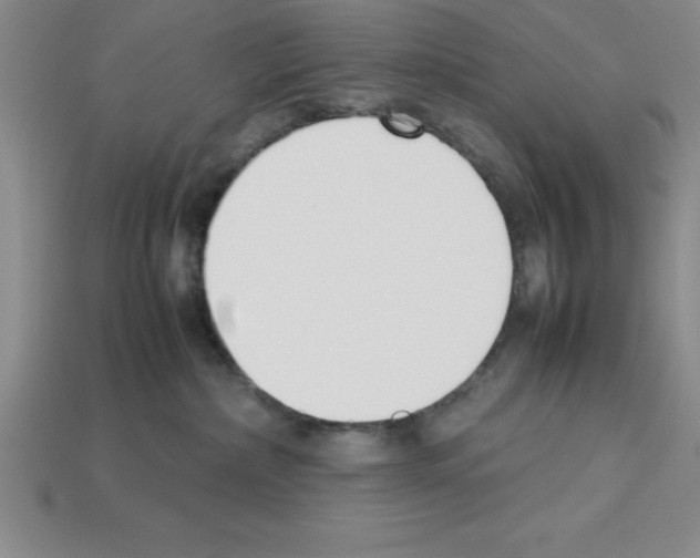 X0000112850236200910021257