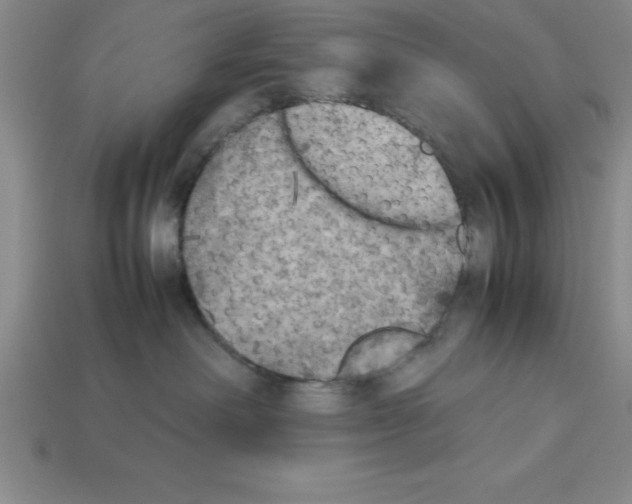 X0000112850238200910021257