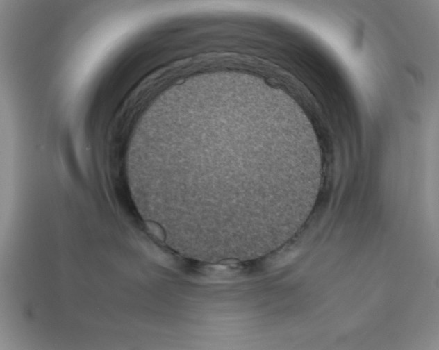 X0000112850239200910021257